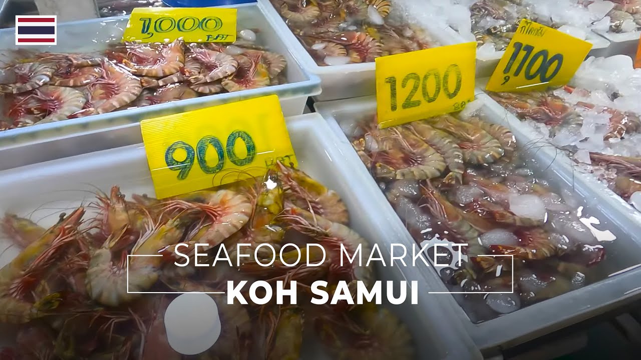Koh Samui Local Seafood Market Walking Tour | They Sell Frogs? [2024-08-10][4K]