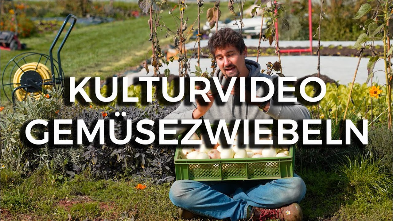 Gemüsezwiebeln Kulturvideo / Rabattaktion / Beispielvideo Onlinekurs Market Garden Pro 🌱
