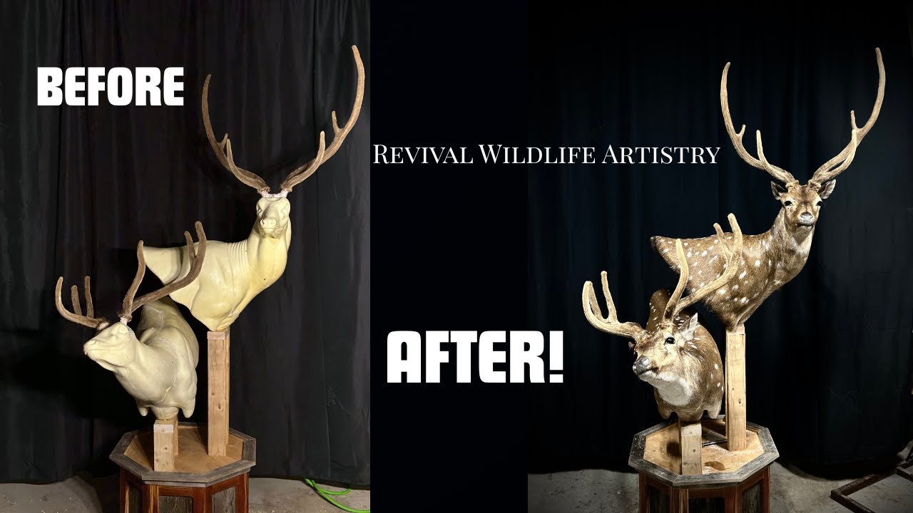 Mounting a double axis deer floor pedestal! (EP.1 Part 1)