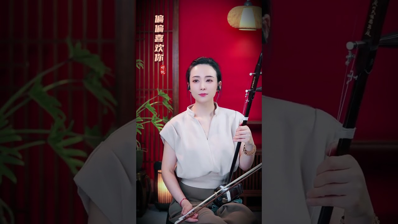 《偏偏喜欢你》，二胡演奏：徐雯怡