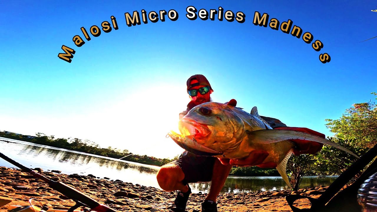 I threw these lures around for a week and these are the results!