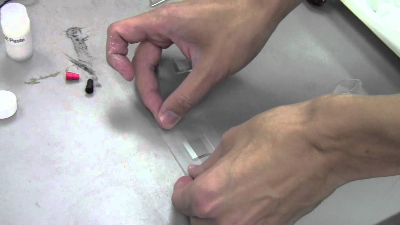DSSC 3 Applying the TiO2 Paste to the Glass