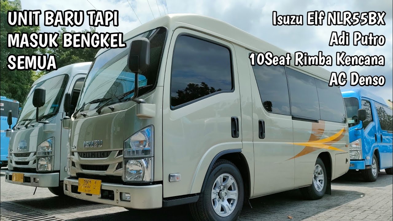 Unit Baru Big Bird Isuzu Elf NLR55BX || Adi Putro