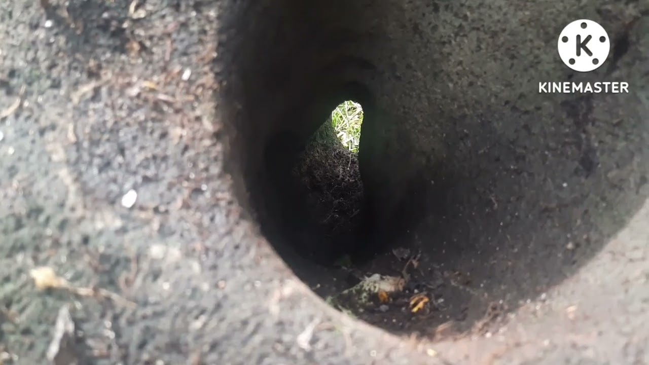 Telescope Hole, Heart & Map Stone, all are given....