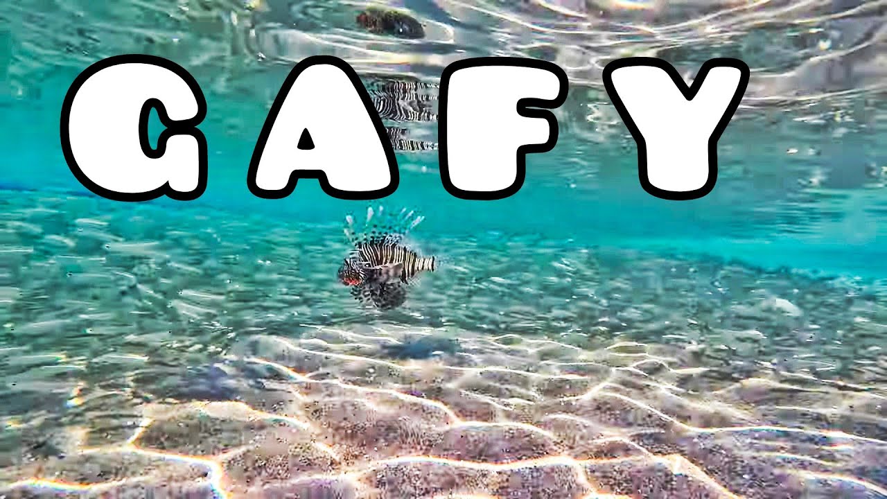 Отель Gafy resort. Шарм Эль Шейх. Египет. Гафи Sharmelsheich