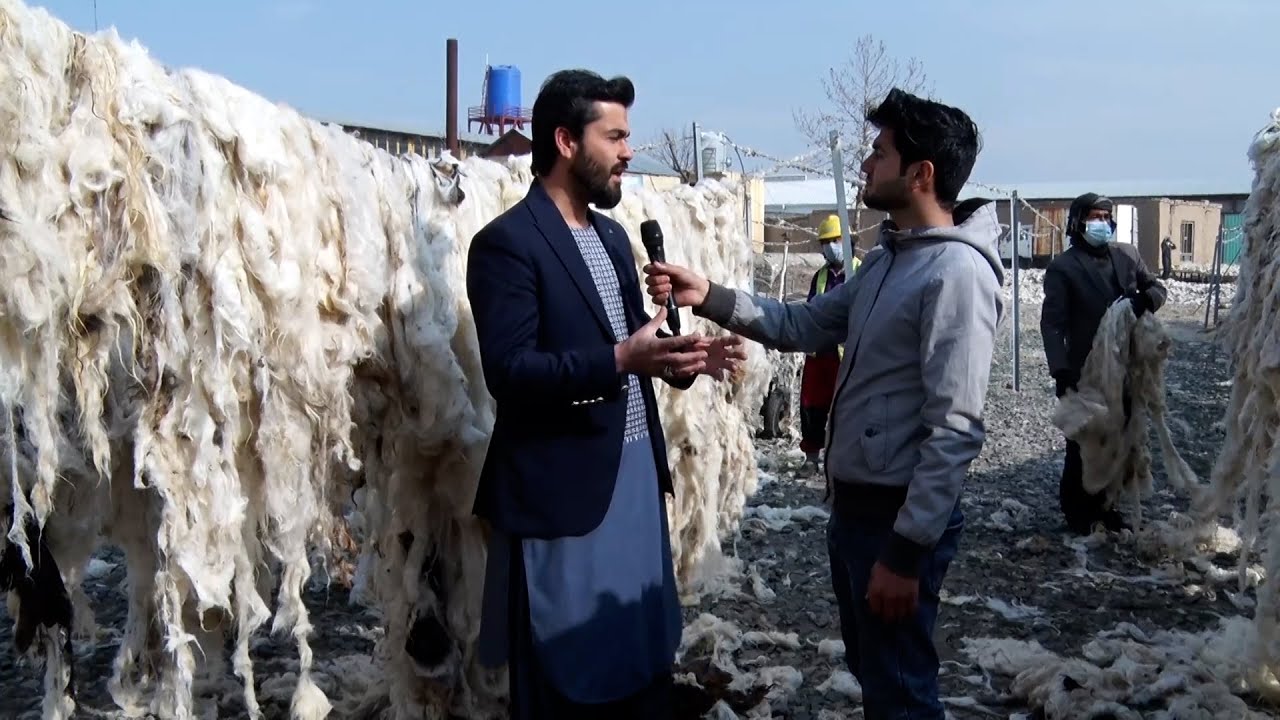 اقتصاد او پرمختګ | فابریکه تولیدی پروسس پشم گوسفند