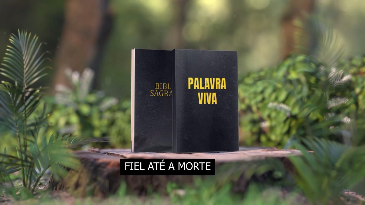 PALAVRA VIVA 25 02 2026