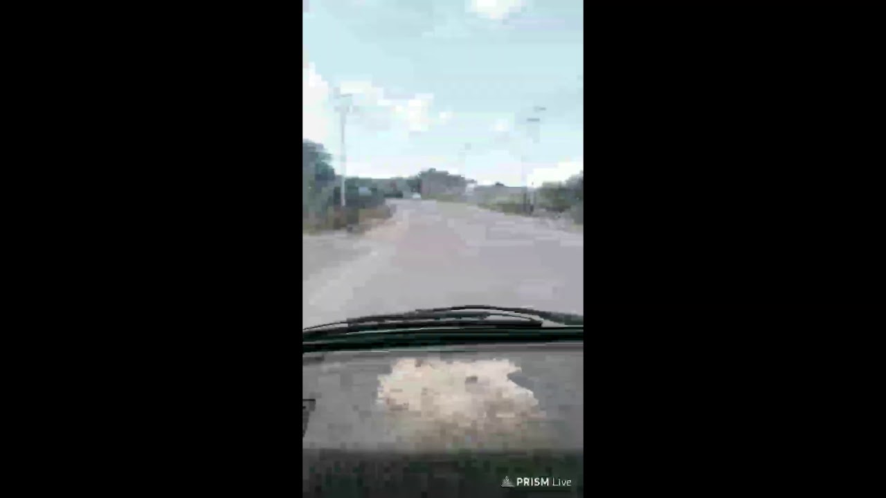 Live Streaming Raja liking
