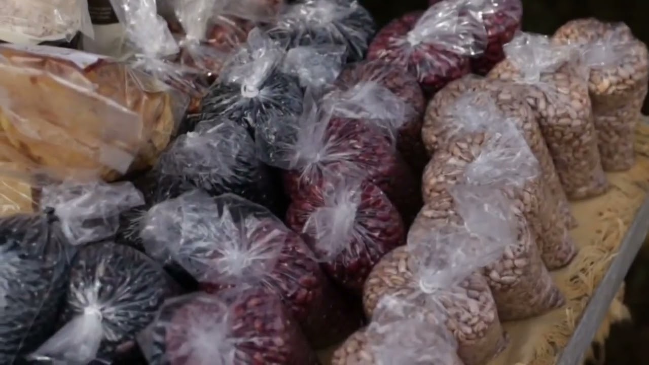 Banco Agrobio de Sementes Crioulas