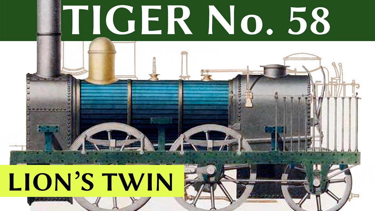 Tiger: Lion's Twin