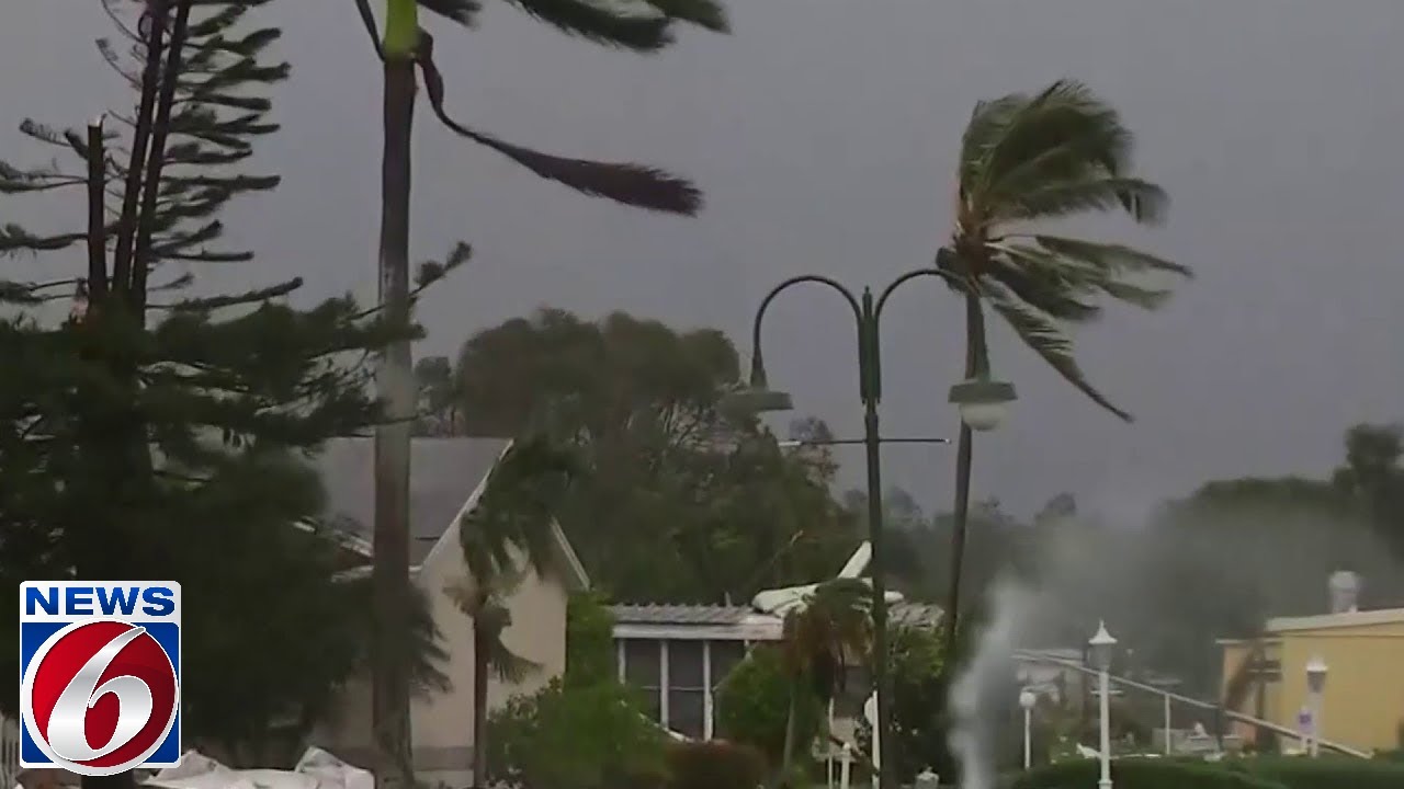 Adjusters claim insurance companies manipulate reports to avoid paying claims