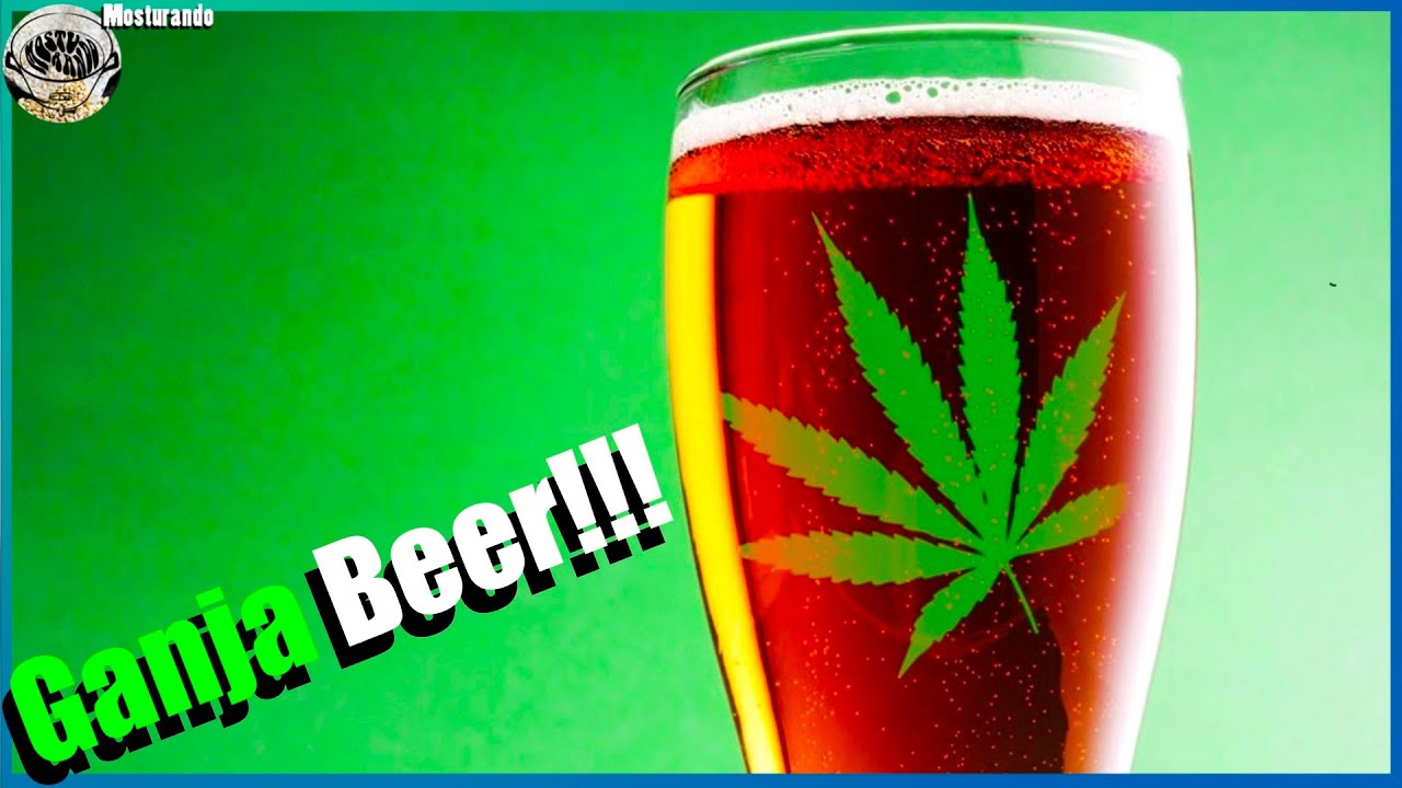 Cerveja com M@CONH@, trigo e beterraba!! Bate Papo BJCP #010