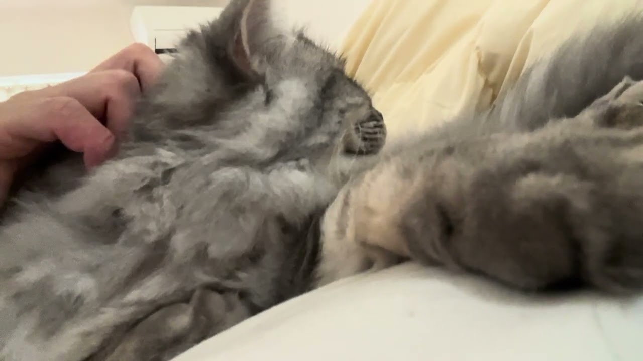 お休みの日
