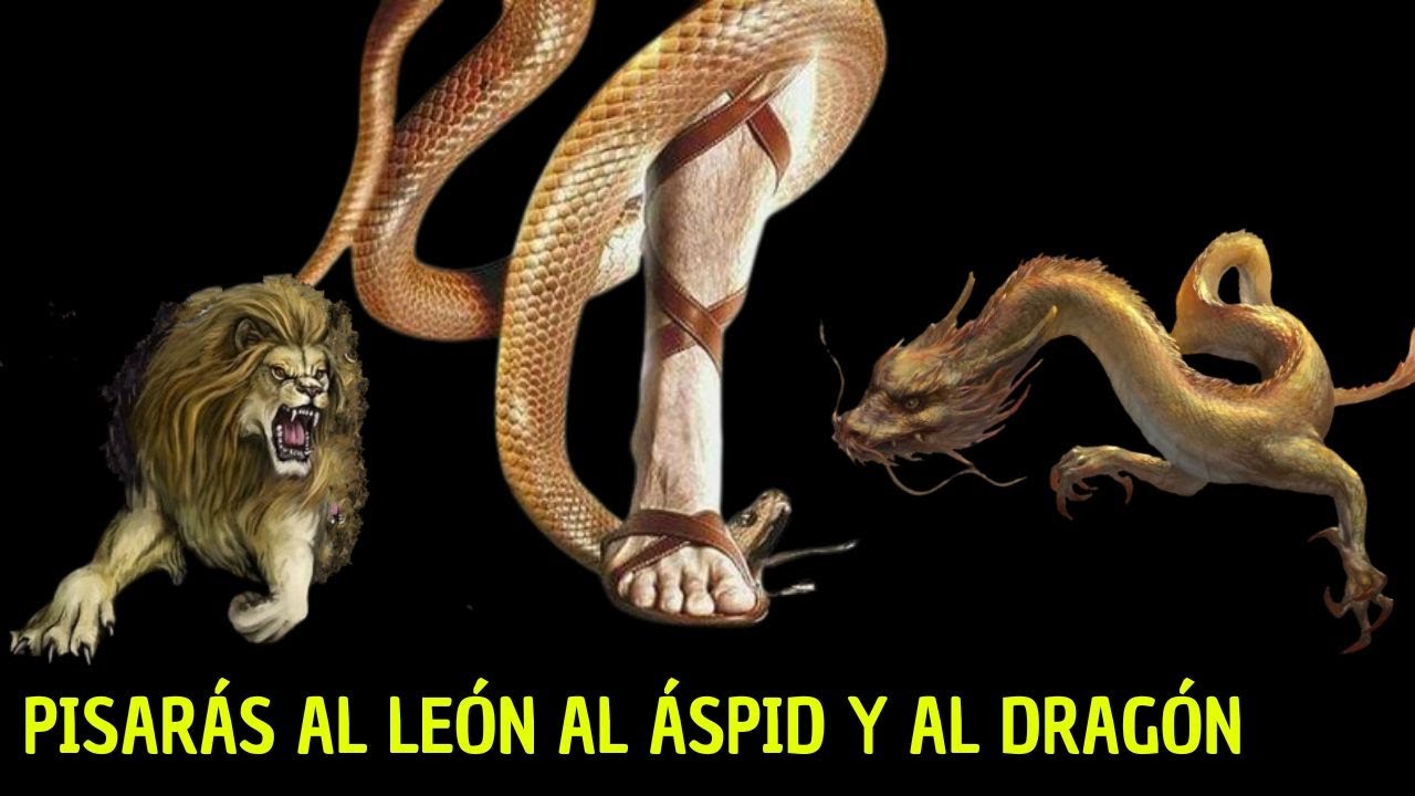¿Qué SIGNIFICA sobre el LEÓN y su CACHORRO, el ÁSPID y al DRAGÓN pisarás?
