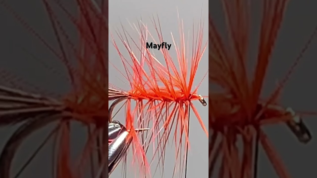 #flytying The French Partridge Mayfly