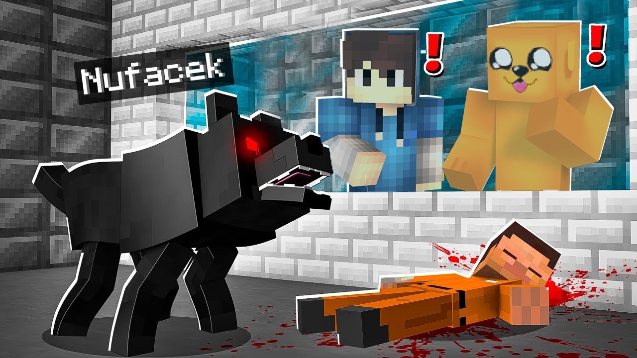 ZLÝ DOKTOŘI PROMĚNILI ŇUFÁČKA V MINECRAFTU 😨 PODAŘÍ SE NÁM HO S HELIXEM ZACHRÁNIT?