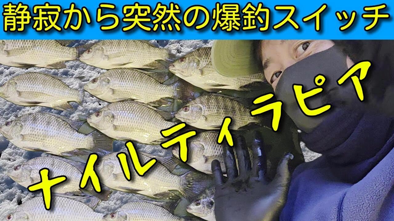 【手賀沼】真冬の激渋から突然ナイルティラピア爆釣！急なスイッチON