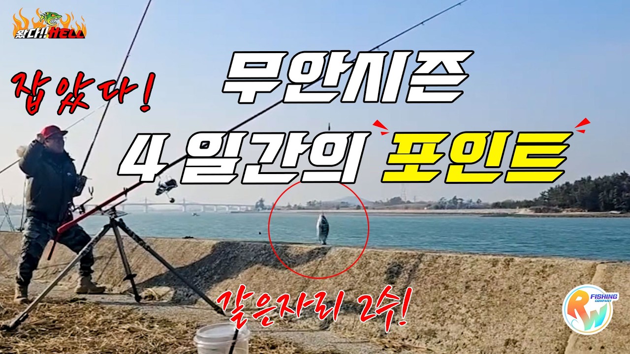원투낚시 감성돔 무안시즌 스타트!! 4일간의 감성돔 추적 그리고 포인트! [왔다Hell]