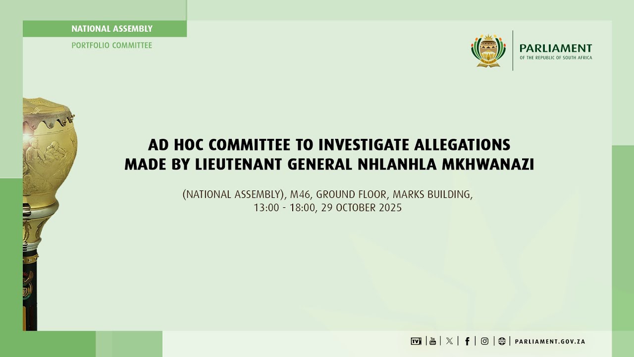 Ad Hoc Committee Investigate Allegations by Lieutenant General Nhlanhla Mkhwanazi, 29 October 2025