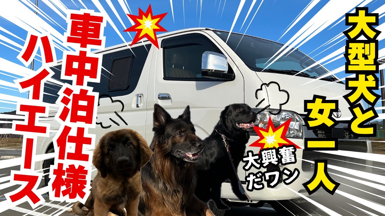 大型犬と女1人　車中泊仕様ハイエース紹介！！