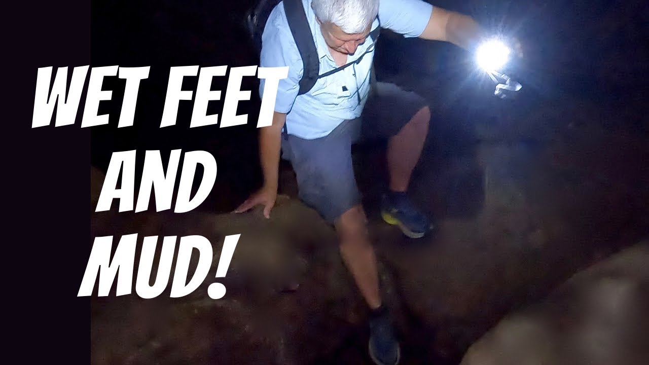Exploring New Zealand's Waipu Caves