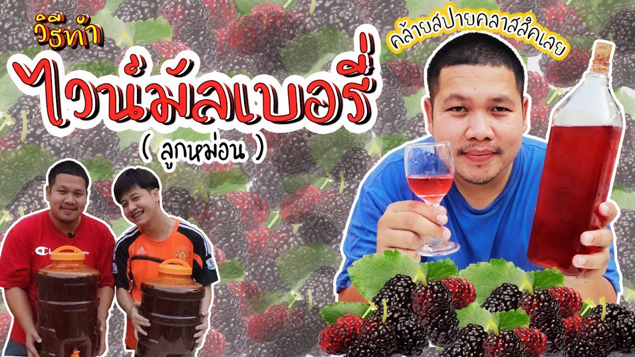 วิธีทำไวน์มัลเบอรี่โฮมเมด (ไวน์หม่อน) คล้ายสปายคลาสสิค How To Make Malberry Wine Like SPY Classic