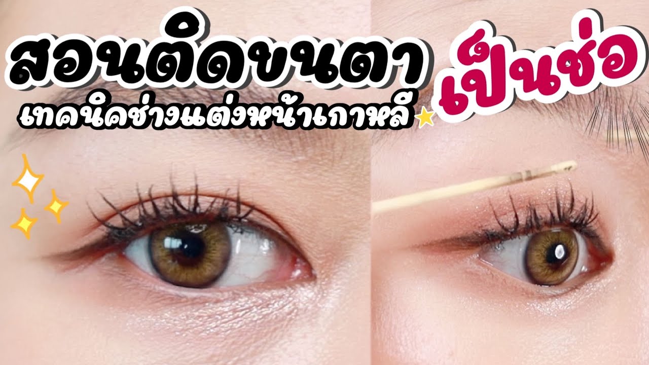 สอนติดขนตา 
