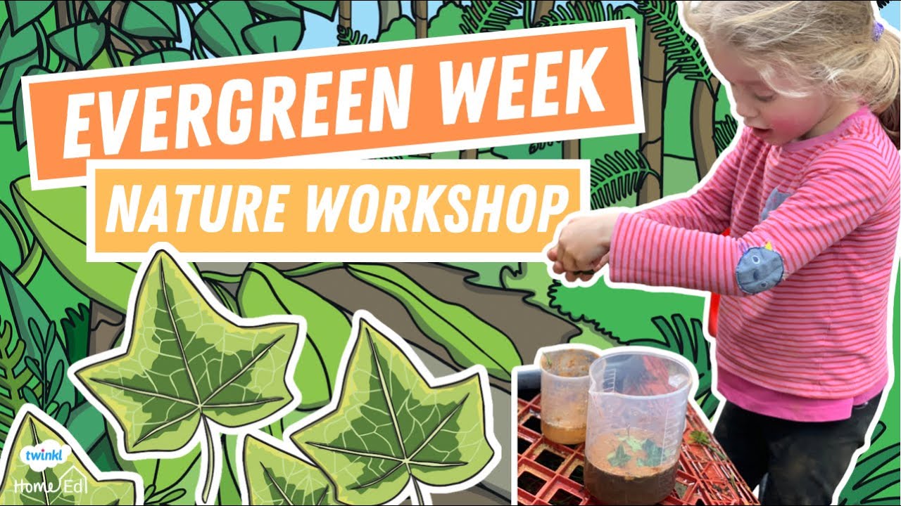Evergreen Week: Home Education Nature Workshop