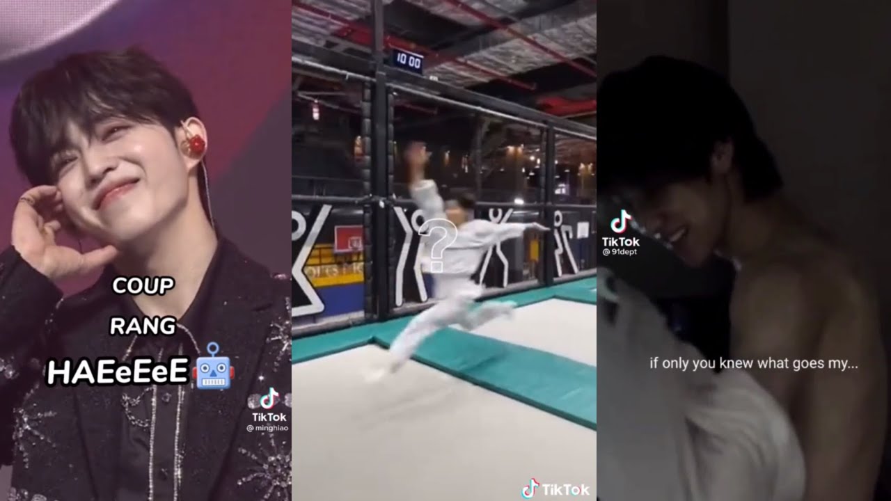seventeen tiktoks that will make your dawn