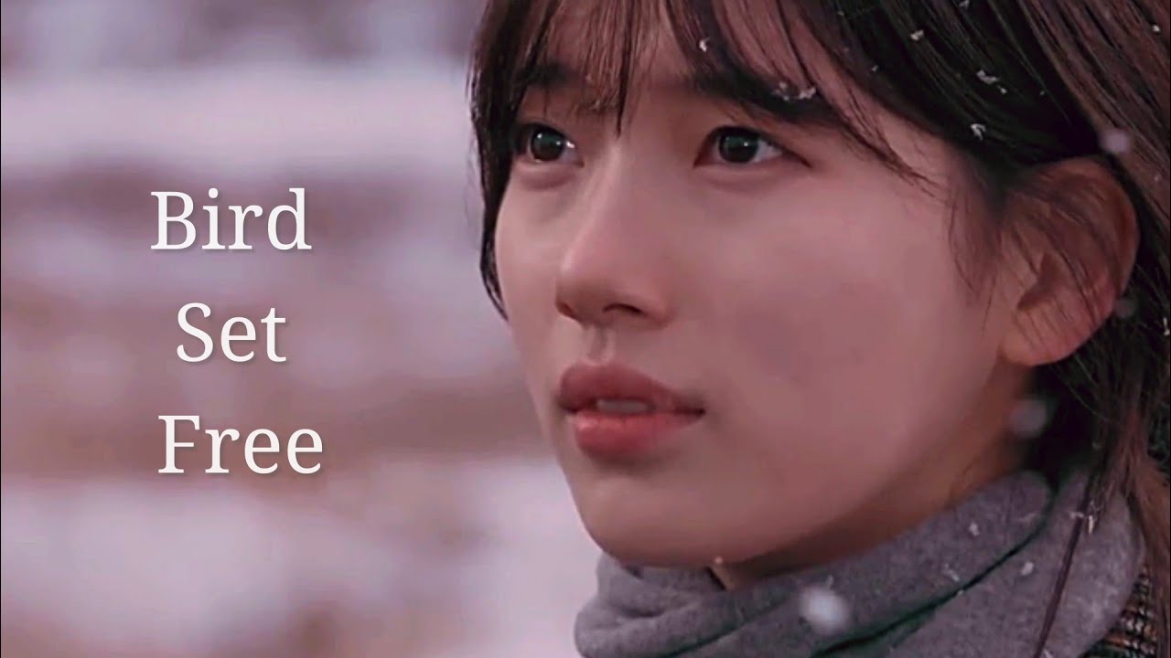 I found myself in my melodies || Multifandom | Bird Set Free [FMV]