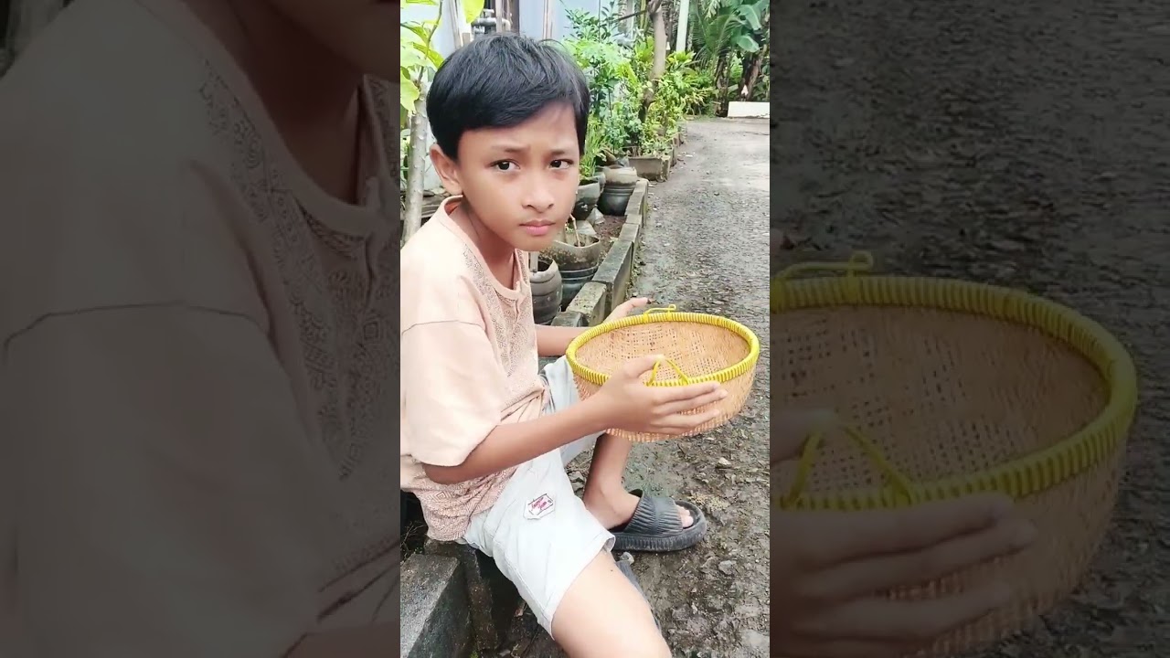 Petik buah tomat dan daun katuk berkebun sangat menyenangkan #hobi #🥰💪 #gardening