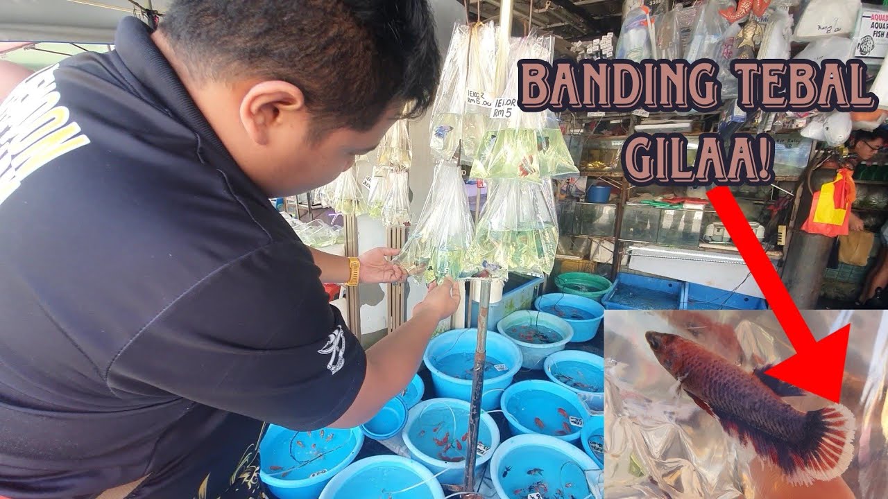 VLOG HUNTING DI PASAR PUDU! PLAN CARI IKAN YANG SIA-SIA?