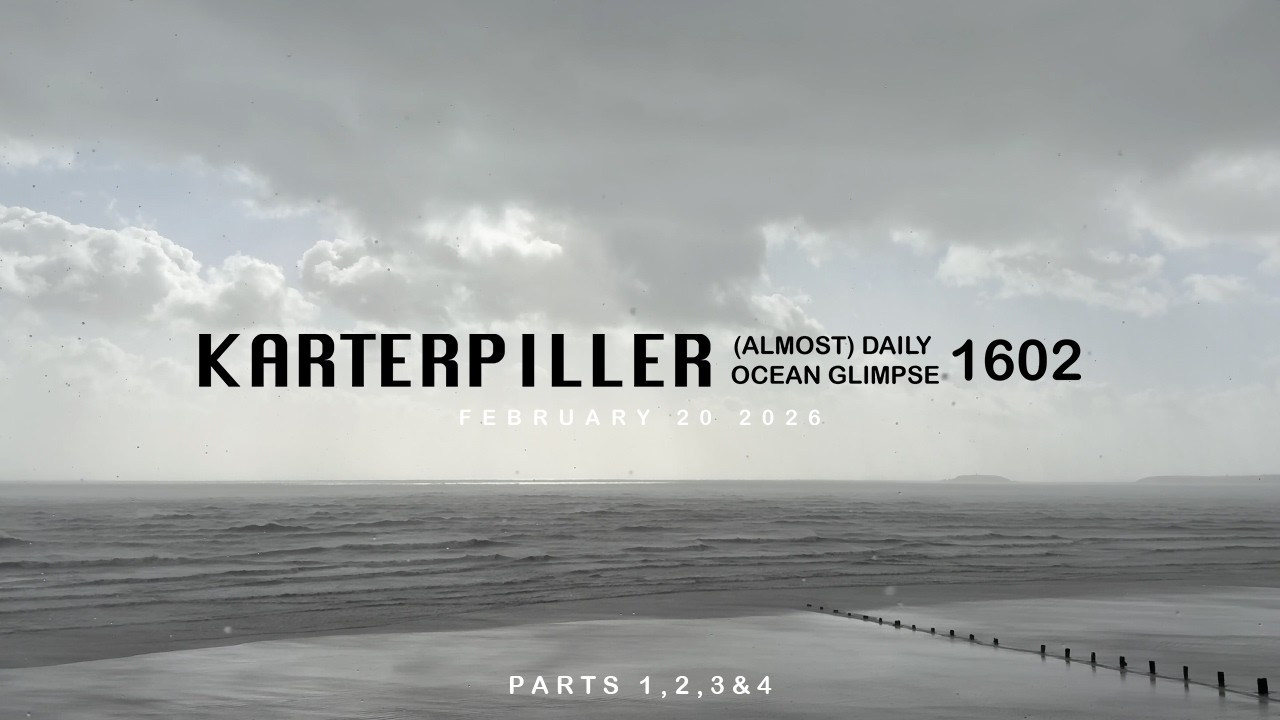 February 20 2026 - Daily Ocean Glimpse 1602