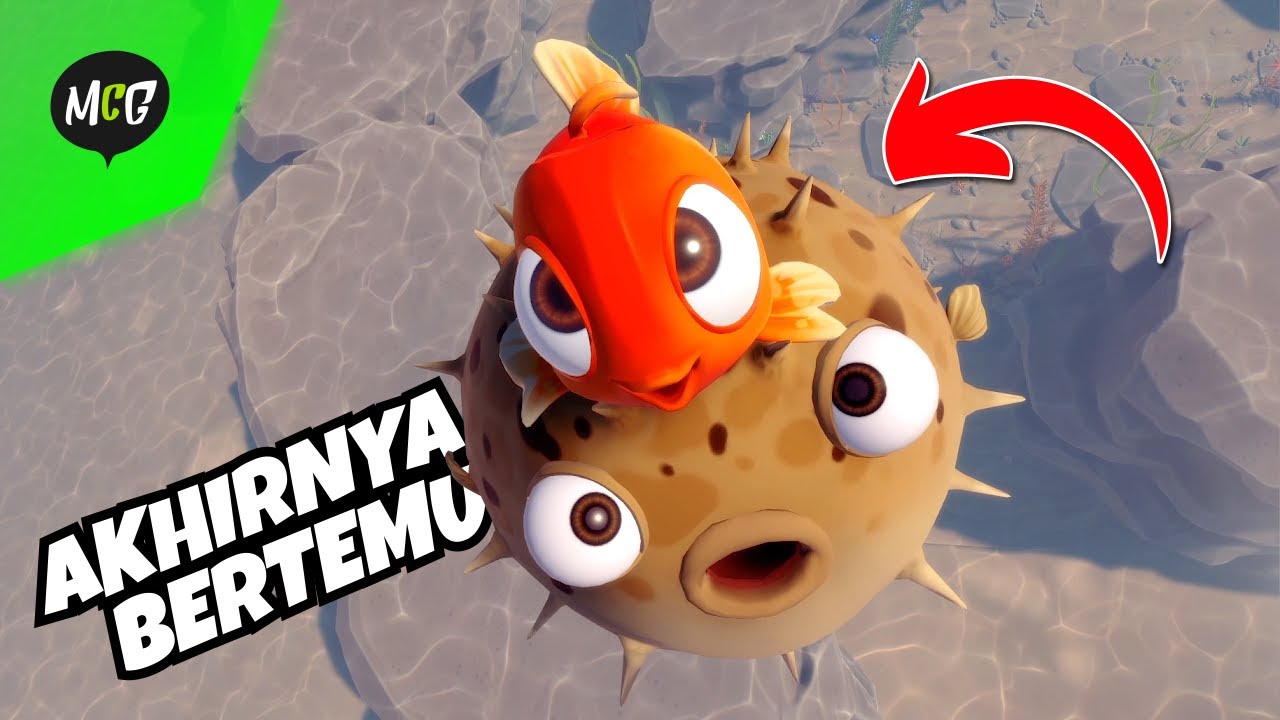 Akhirnya Ikan Buntal Bertemu Goldy!