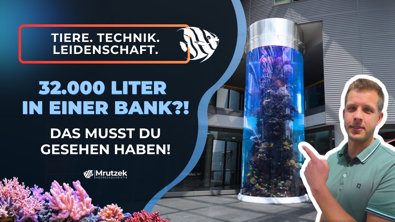 32.000 Liter Meerwasseraquarium – Einblicke in ein faszinierendes Großprojekt (Teil 1)