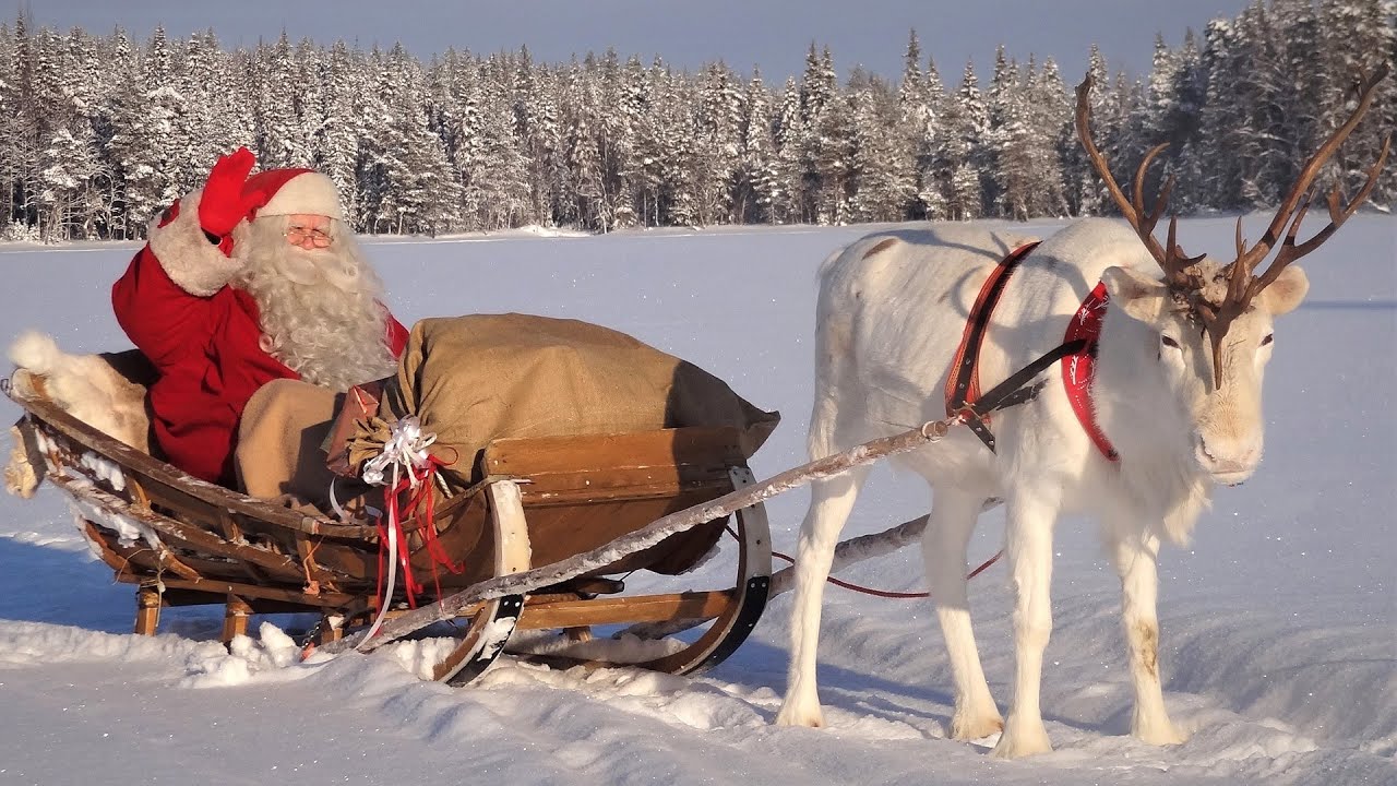 Joulupukin porojen salaisuudet 🦌🎅 Joulupukki & Poro Lappi Rovaniemi Korvatunturi Napapiiri Santa