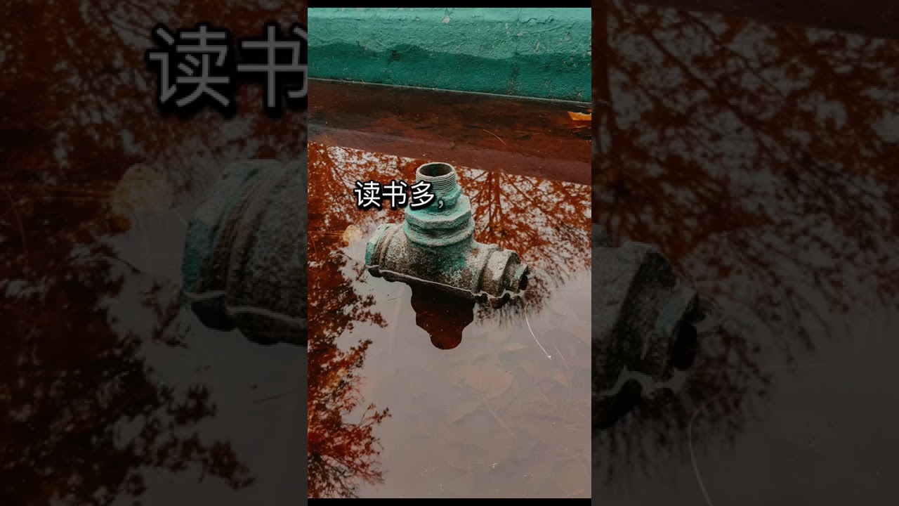 传道书第12章言语好像刺棍