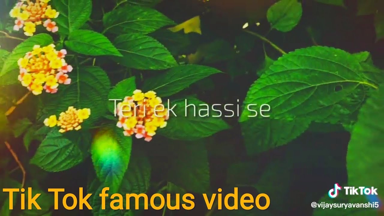 Tik Tok hit video || Supper Hit Song || viral series