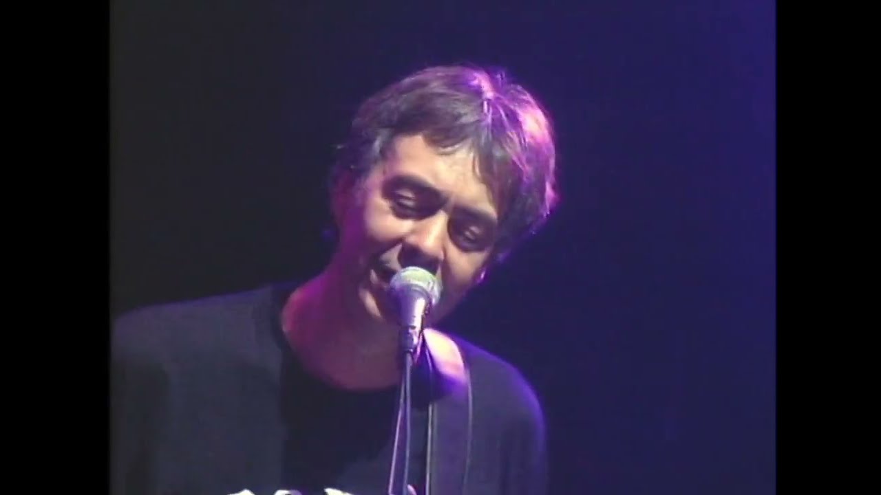 Camel &ndash; Harbour of Tears (live)