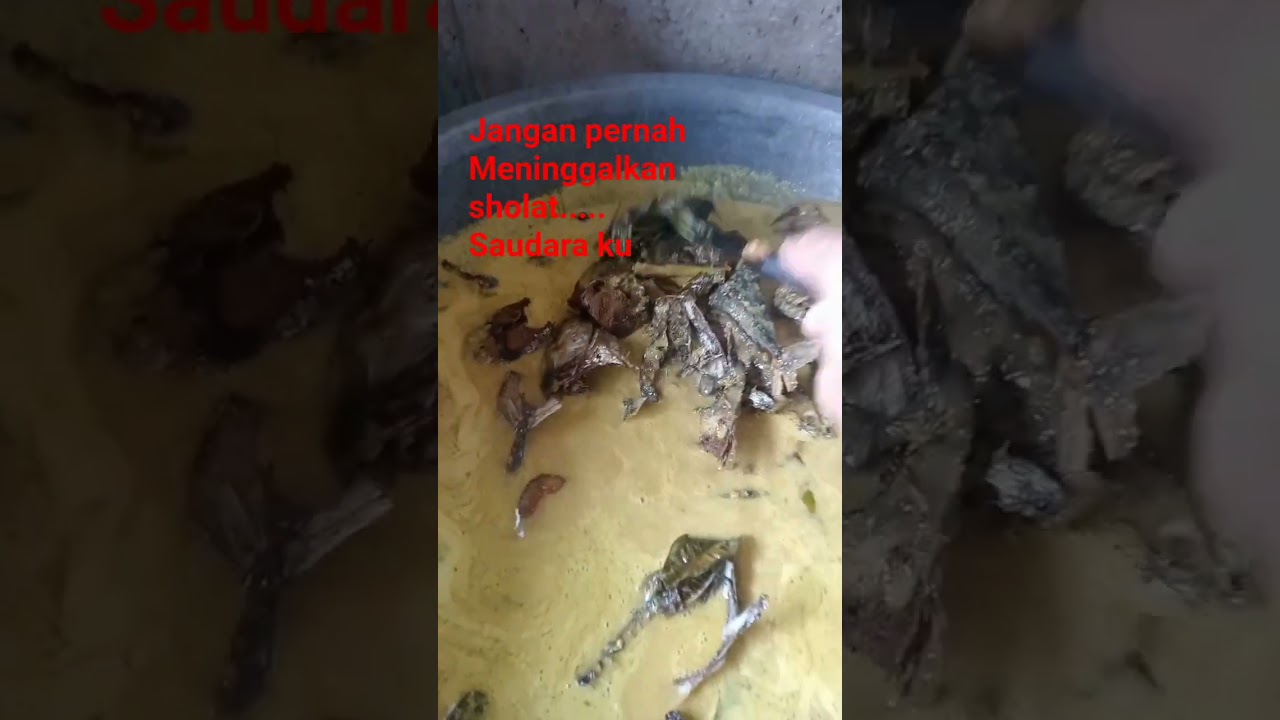 Di tambah daun ini ,gulai nya semangkin manteb