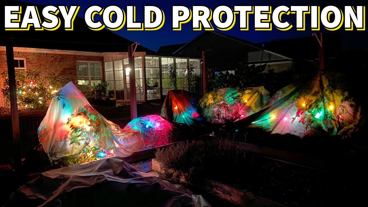 Extend Your Growing Season With This Simple Cold Protection Method
