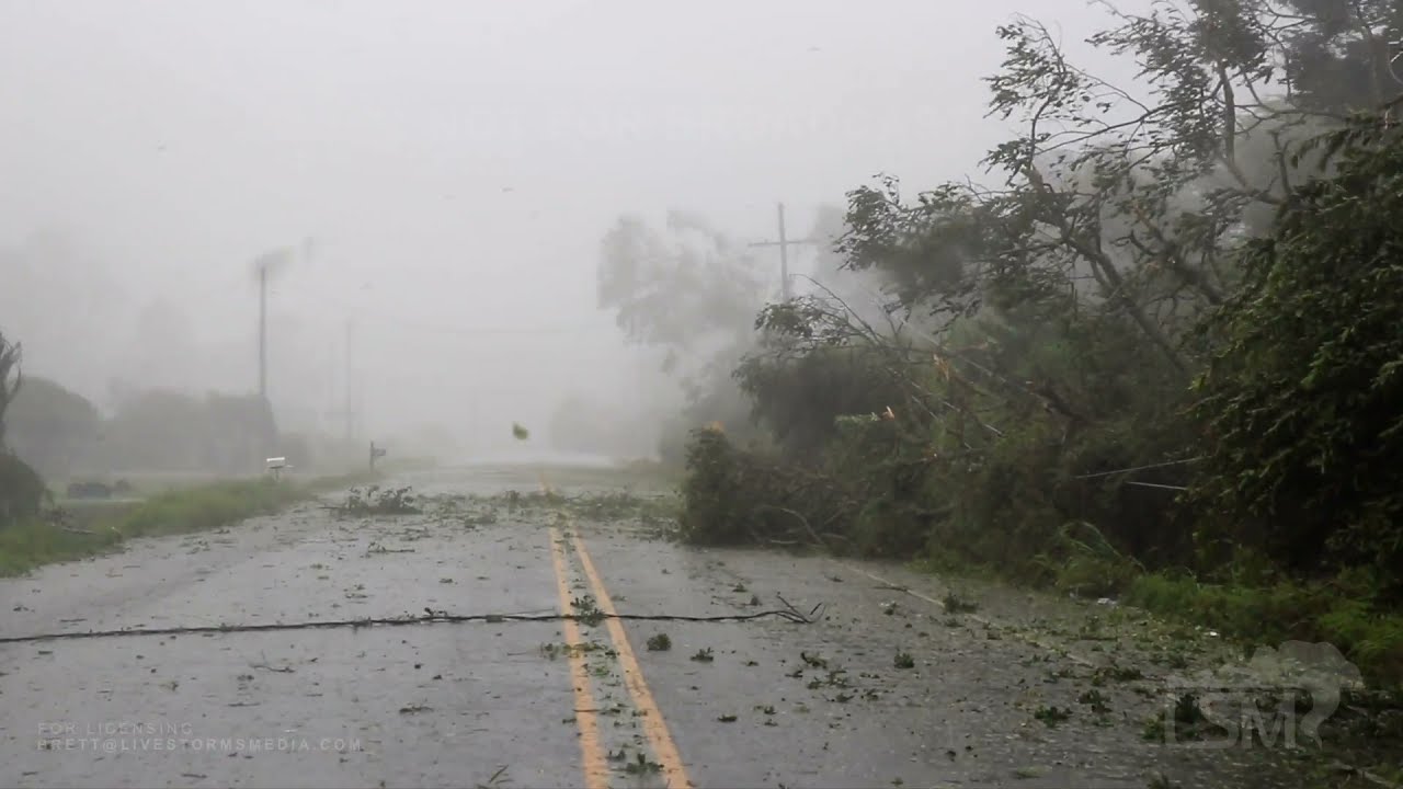 08-29-2021 Schriever, LA - massive trees on houses, horse roams in 100mph winds, destroyed signs