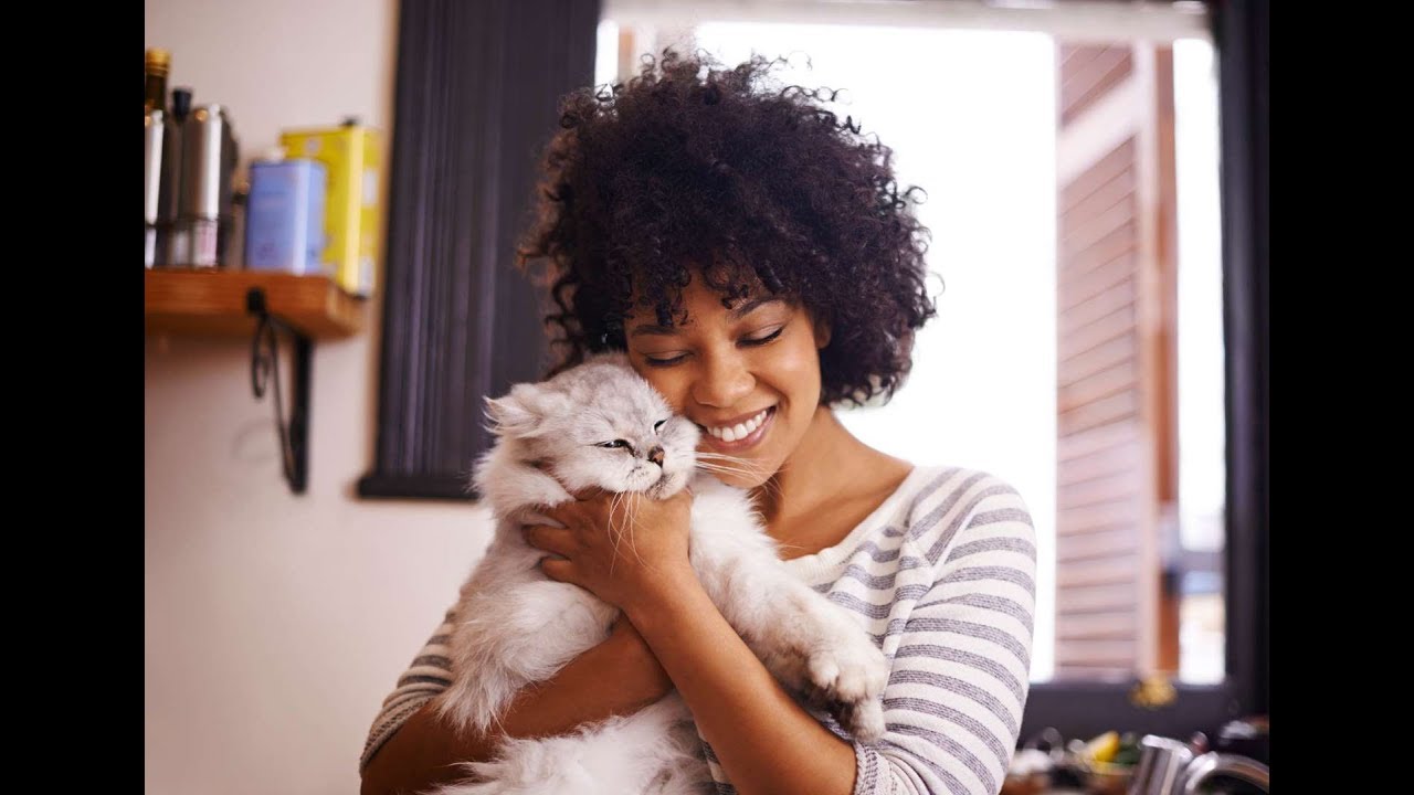 Interesting Cats Facts: 17 Things You Never Knew About Cat | Kitten Facts | Cat Information