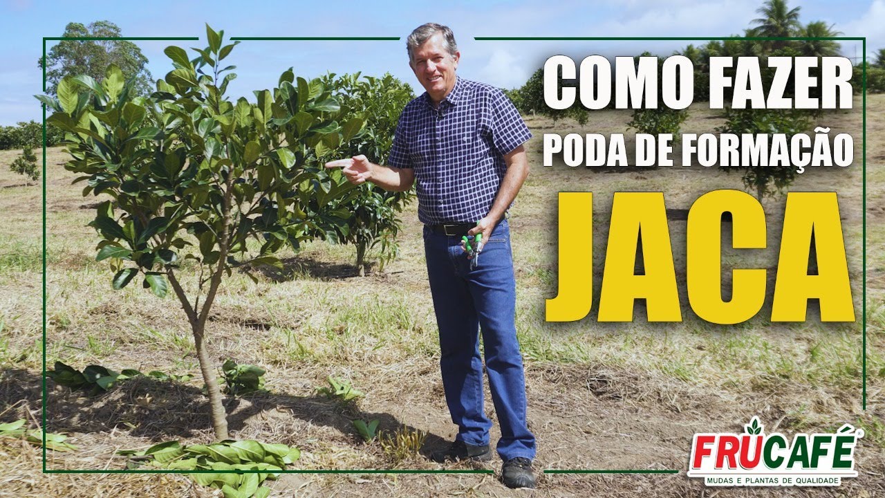 Como Fazer Poda de Formação na JACA - Parte 01?