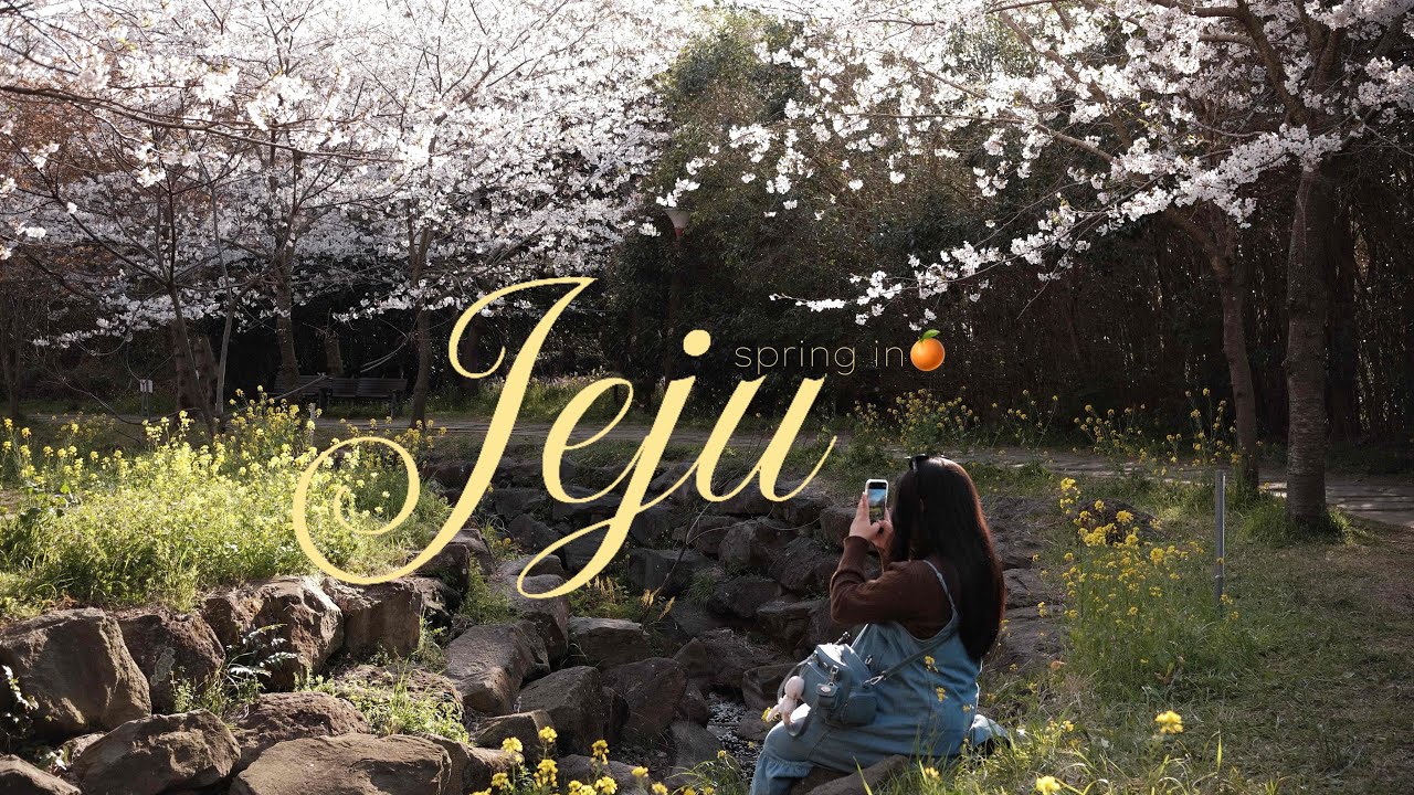 mùa xuân ở Jeju ⊹˚ ༘⋆✿
