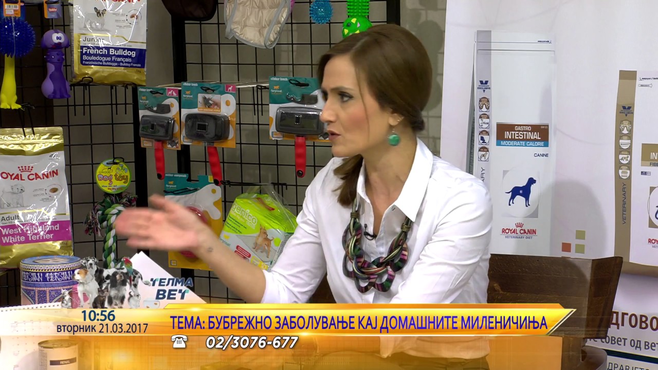Bubrezno zaboluvanje kaj domasnite milenici