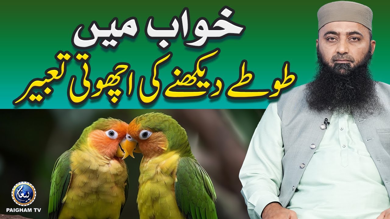 Khwab Mein Tota Dekhna Ki Tabeer | Molana Hashim Yazmani