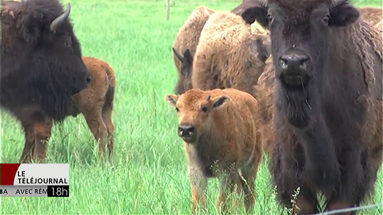 L'agriculture comme seconde carri&egrave;re