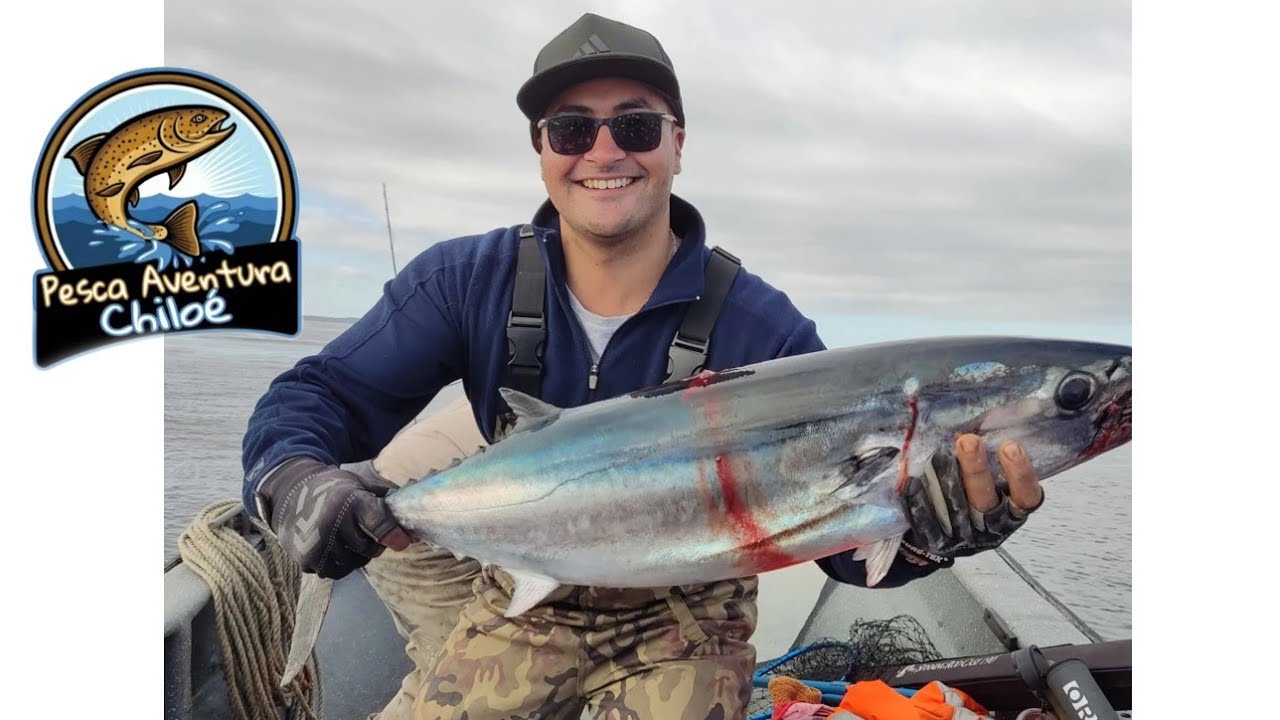 Pesca De Atunes En Canal De Chacao, Isla Grande De Chiloé Chile
