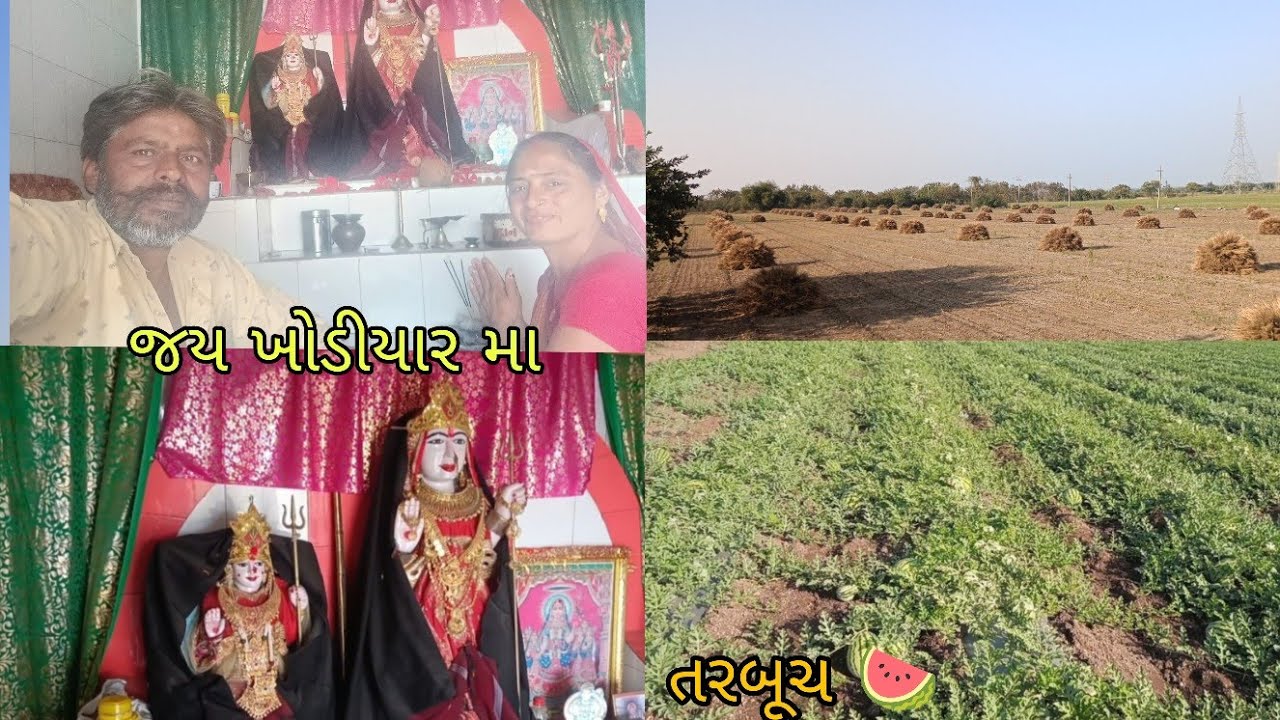 ફાઇનલી ભર હારી લીધા